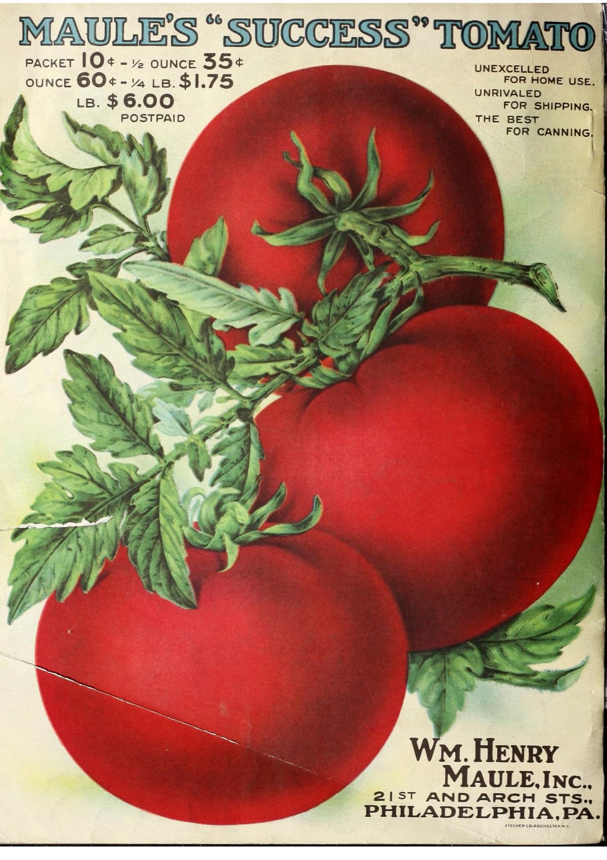 Vintage tomato ad